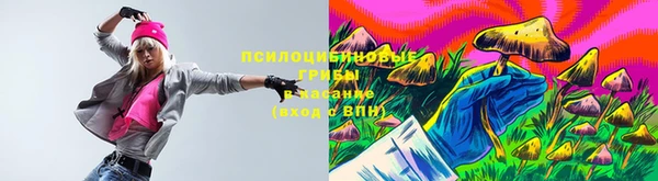 гашик Бугульма