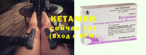 гидра Бородино