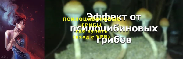 гидра Бородино