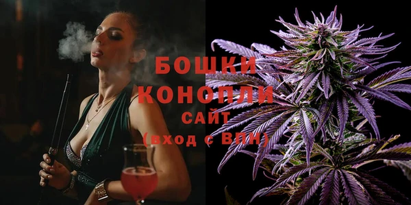 гидра Бородино