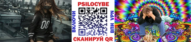 блэк спрут ONION  Новосокольники  Галлюциногенные грибы мицелий 